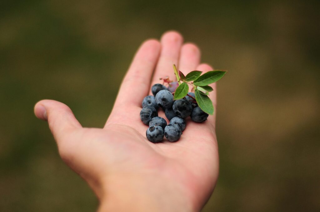 Flavonoids, found in dark colored fruits, can help boost energy.