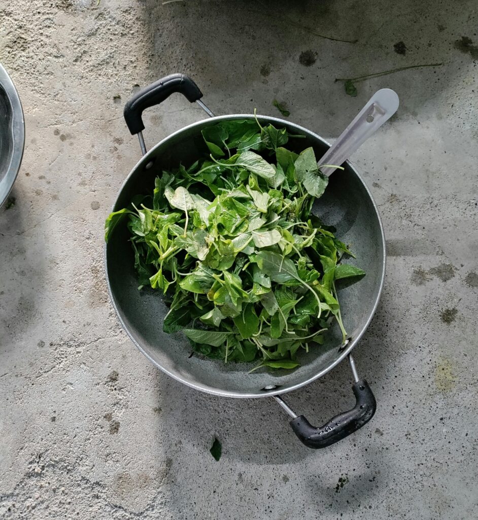 Are nutrient deficiencies causing your fatigue?